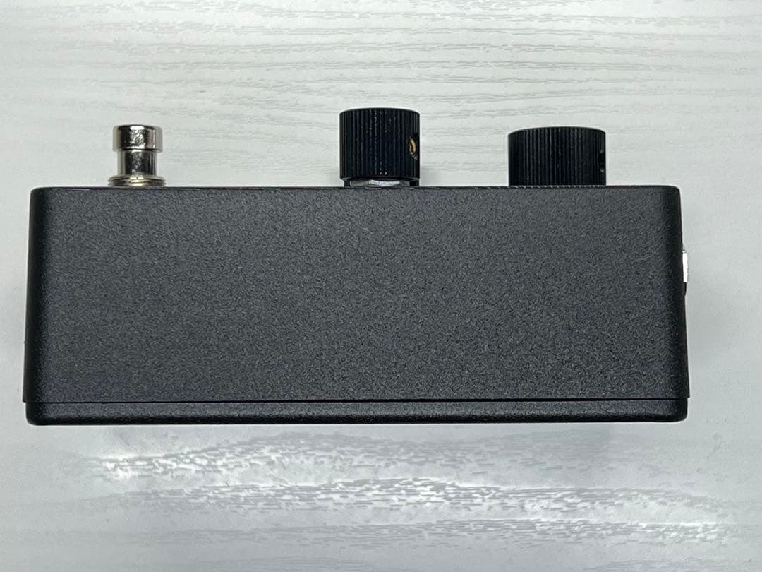 ギター Paul Reed Smith (PRS) HORSEMEAT