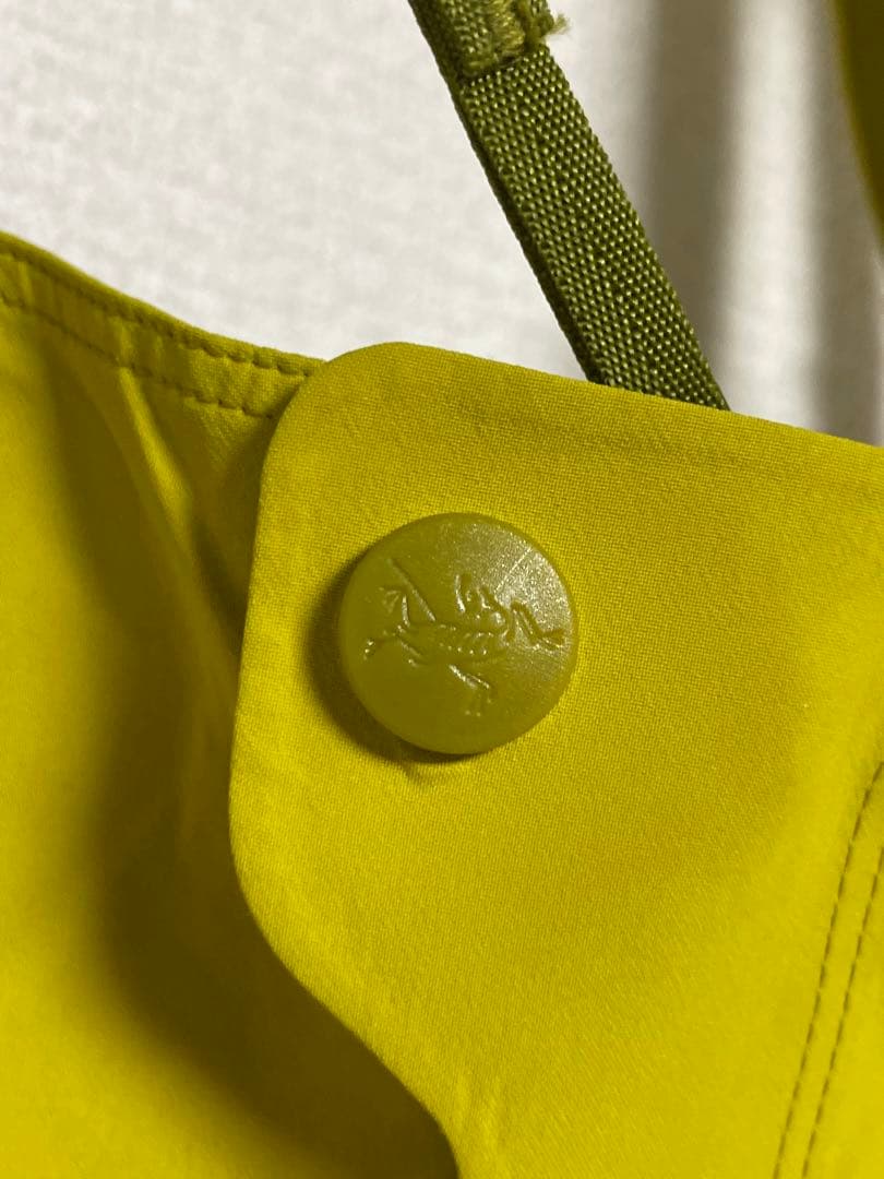 Arc'teryx 廃盤 Stinger Bib GORETEX PRO パンツ