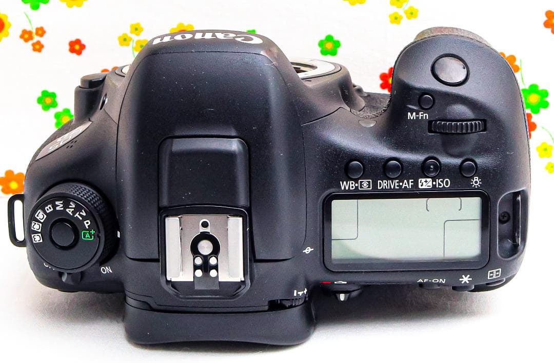 キャノン Canon EOS 7D Mark II☆スマホ転送☆ダブルレンズ