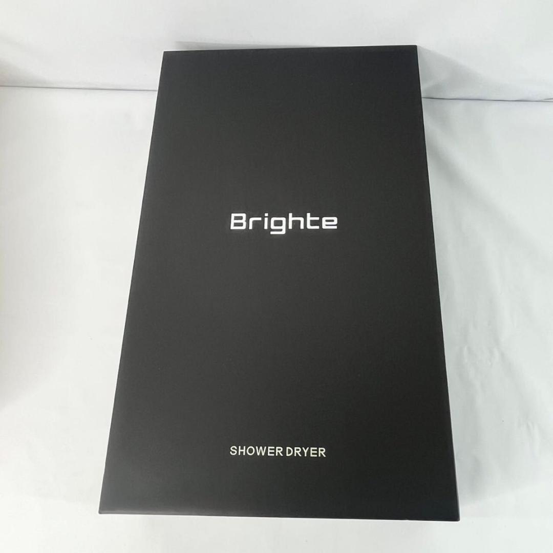 美品 Brighte シャワードライヤー BRT-SD173 新品ミスト・ブラシ