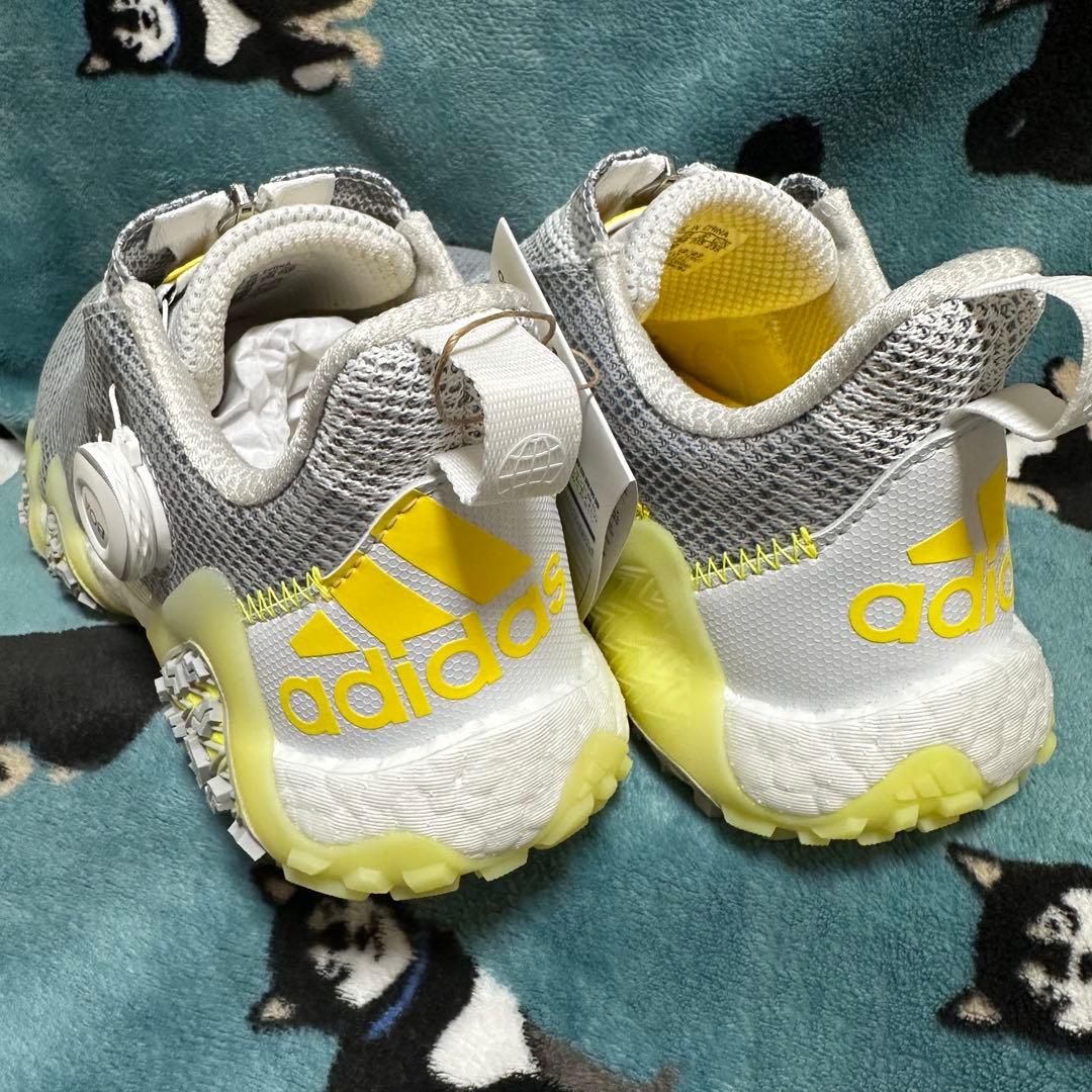 アディダスゴルフ コードカオス22BOA 23.5cm