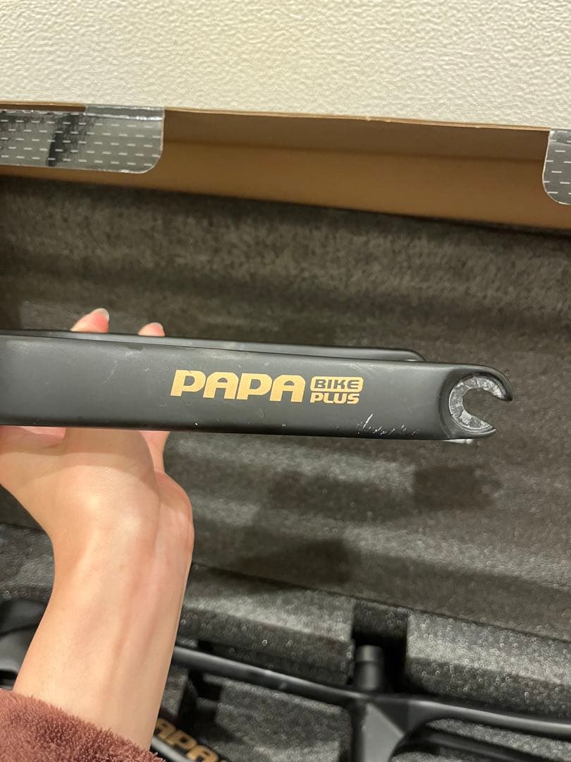 【あみさん専用】papabike Mini Storm バイクフレーム