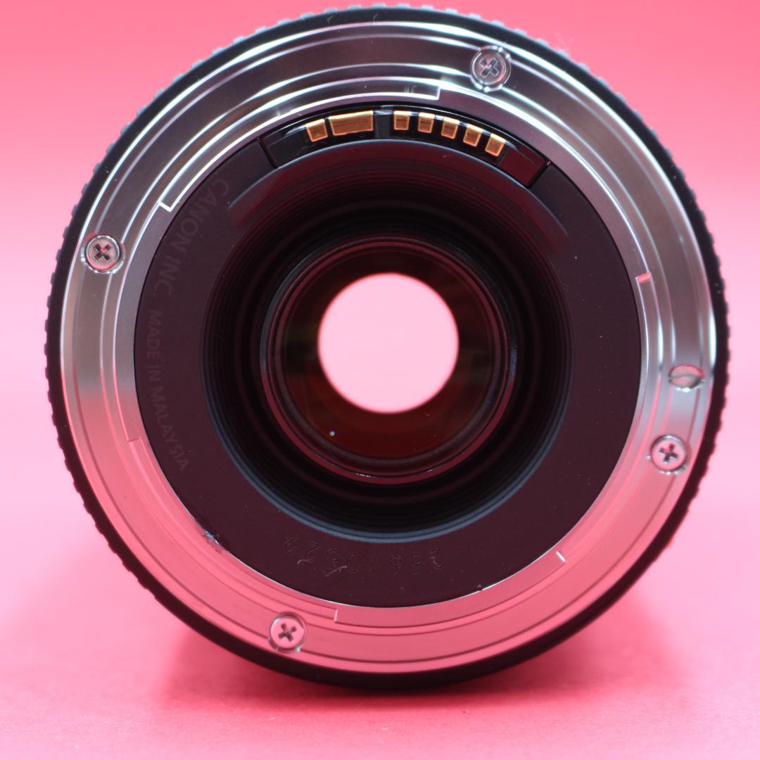 ❤️迫力ズーム❤️Canon 75-300mm❤️野鳥・飛行機撮影❤️