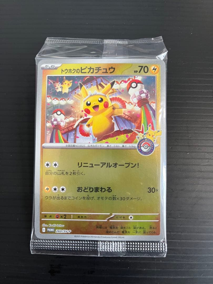 d*2様 トウホクのピカチュウ