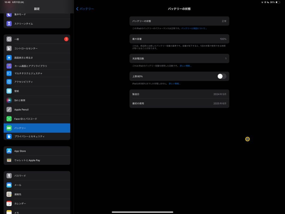 【美品】iPad Pro M4 13インチ 256GB Wi-Fiモデル 本体