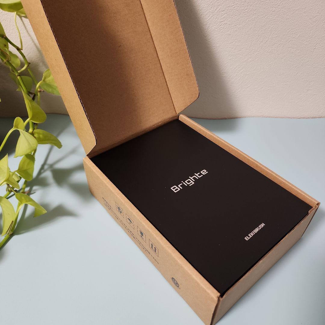 美品 Brighte ELEKBRUSH ブライトエレキブラシ 美顔器