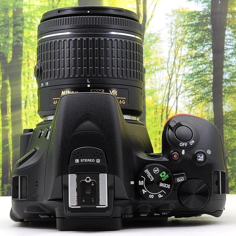 ショット数1505枚！スマホ転送機能付☆Nikon D5600☆シリーズ最新