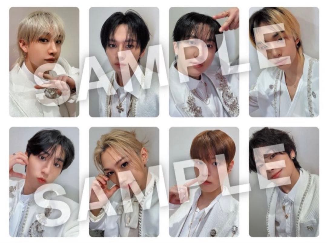 straykids 会場限定　トレカ　インテックス大阪　Hollow 1/24