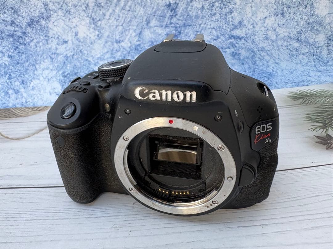 キヤノン EOS Kiss X5 ボディ本体のみ(レ34)