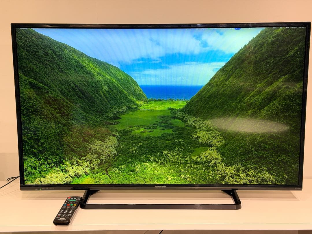 パナソニック43V型 VIERA TH-43D305 テレビ リモコン付き