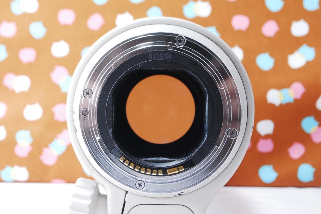 ✨憧れの白レンズ✨Canon EF 70-200mm F2.8 L