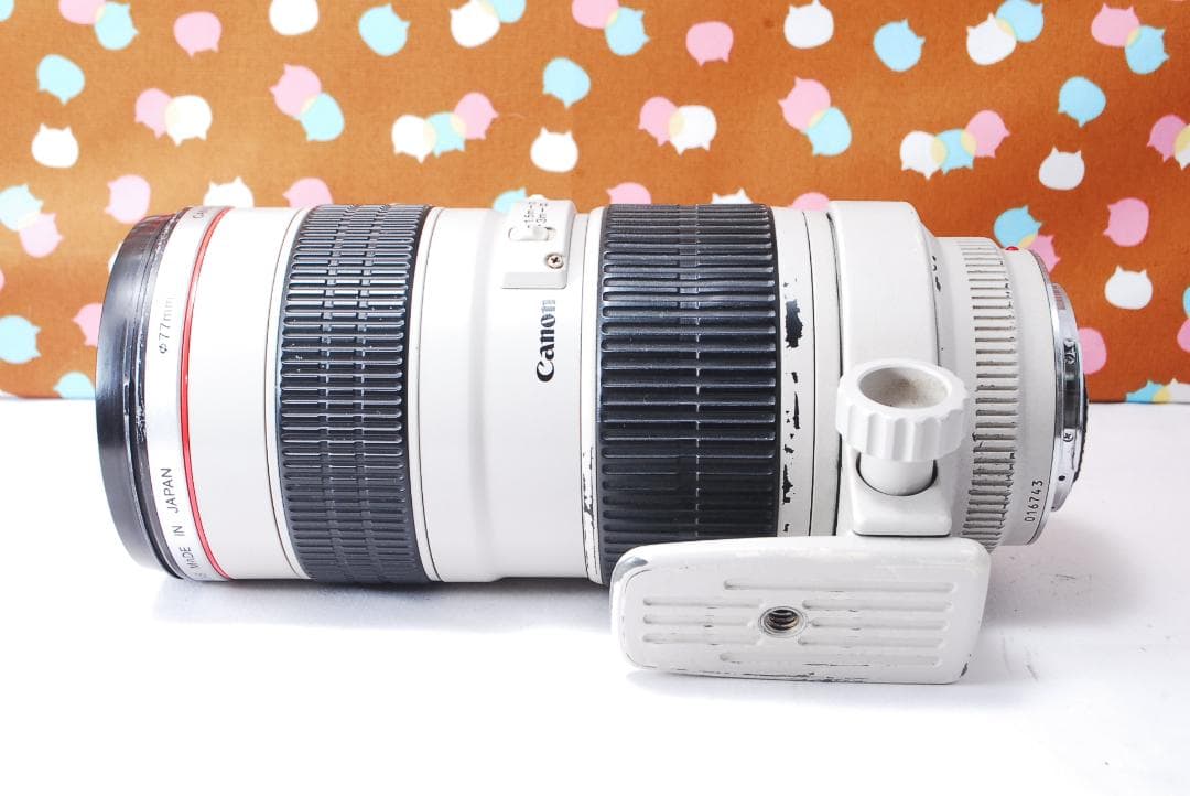 ✨憧れの白レンズ✨Canon EF 70-200mm F2.8 L