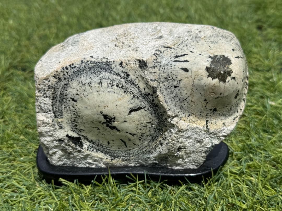 ナポレオン石 鑑賞石 天然石 水石 鉱物 置き時計