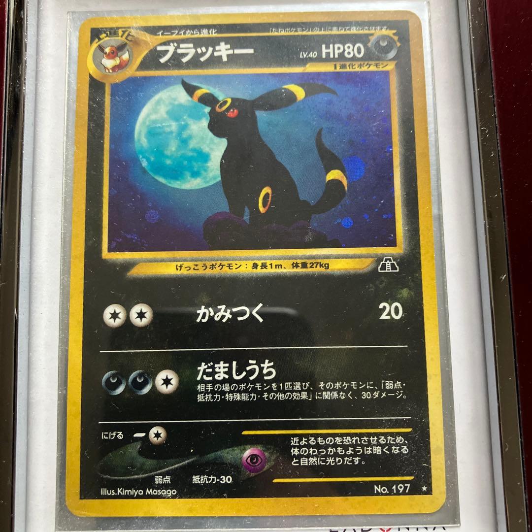 ブラッキー No.197 HP80