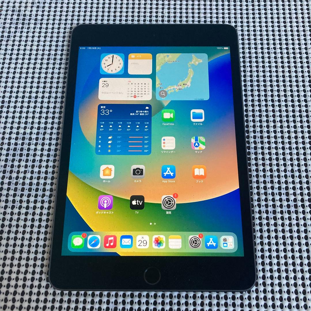 2381【早い者勝ち】iPad mini5第5世代 256GB WIFIモデル☆