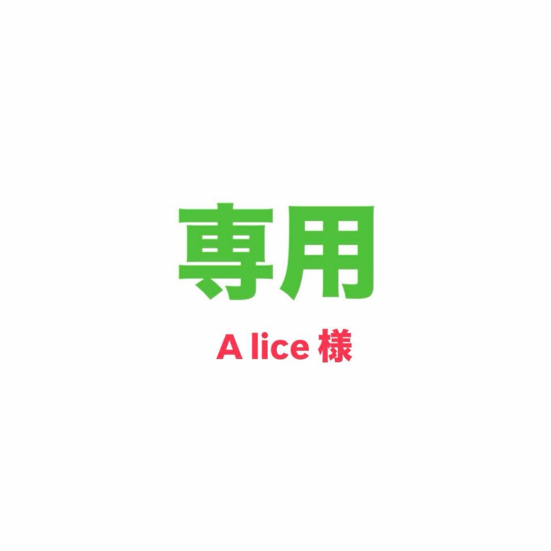 【専用出品】　　　A lice 様