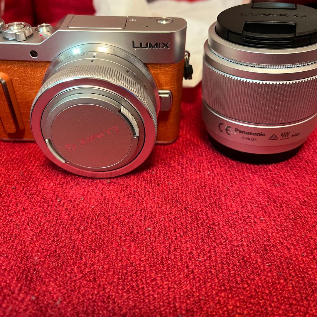 最終値下げ価格　Panasonic DC-GF10W