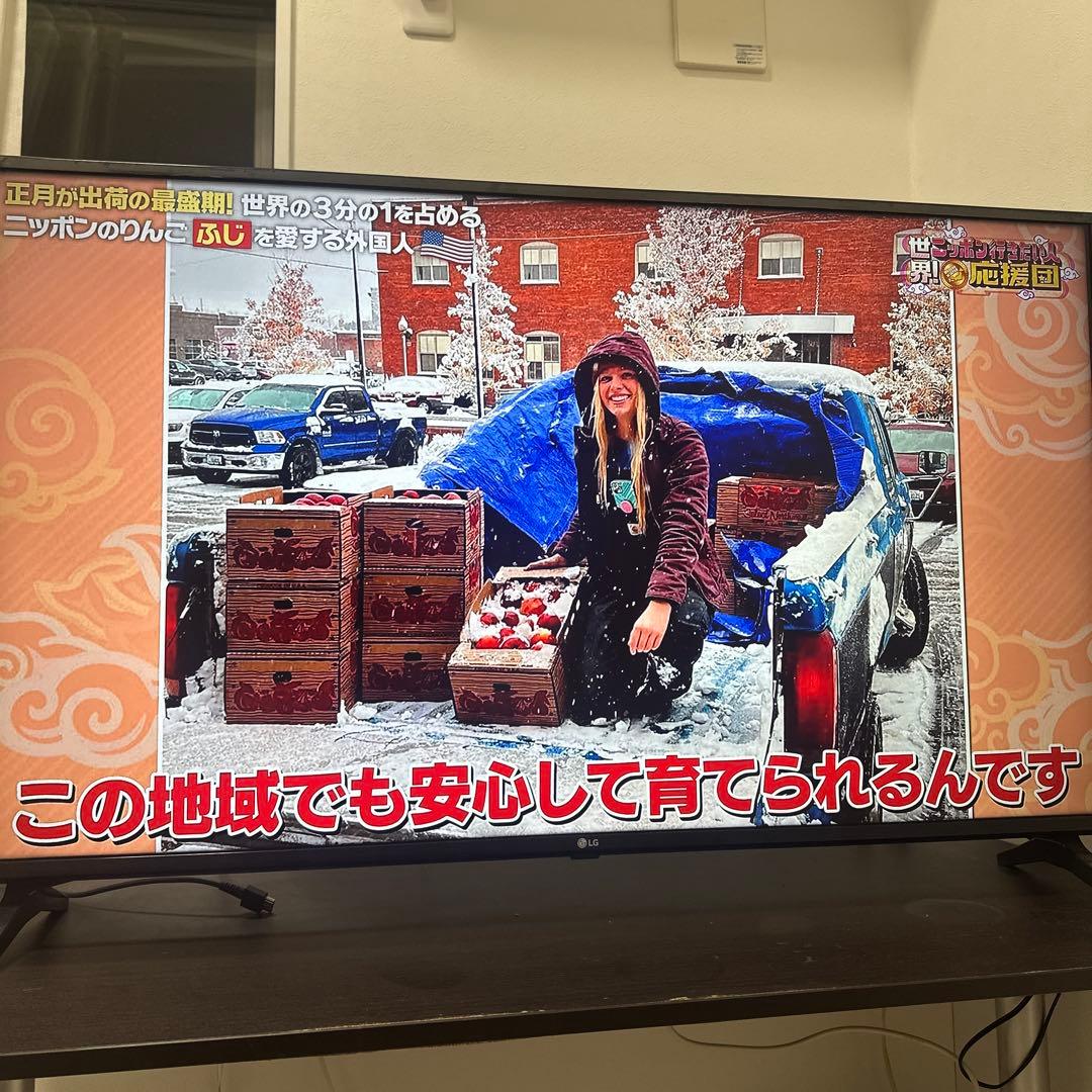 神奈川県引き取り限定 LG 49V型 4Kチューナー内蔵 液晶テレビ