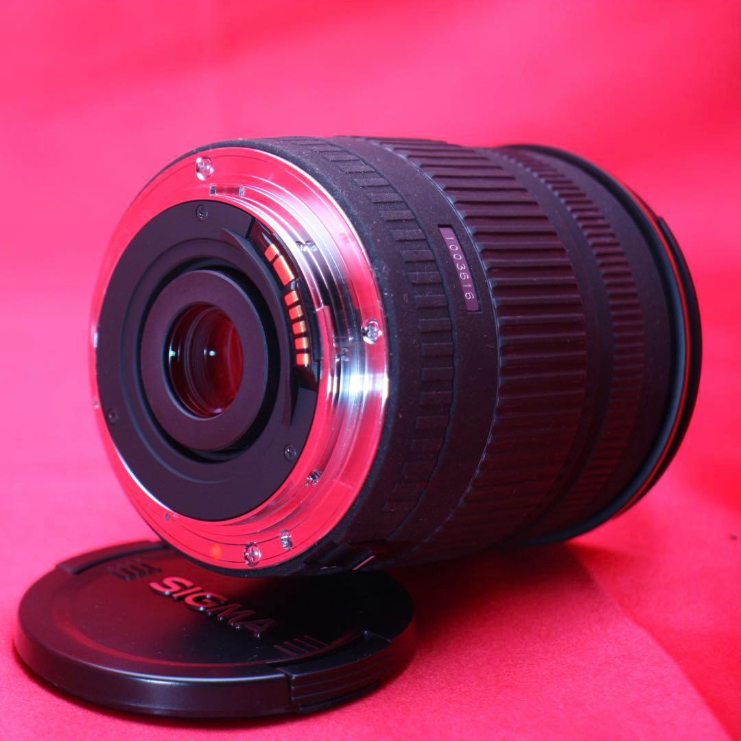 SIGMA 18-200mm ズームレンズ Canonマウント