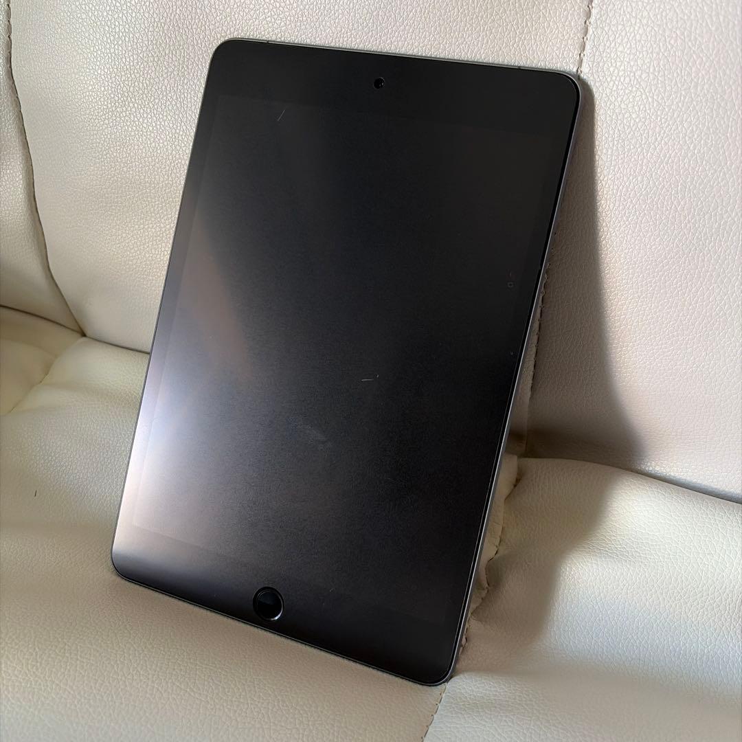 iPad mini 5 Wi-Fi &セルラーモデル256G