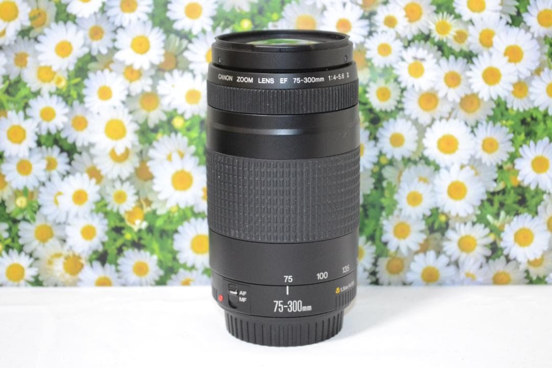 大迫力300㎜❤望遠レンズ❤人気❤スポーツ❤Canon EF75-300㎜