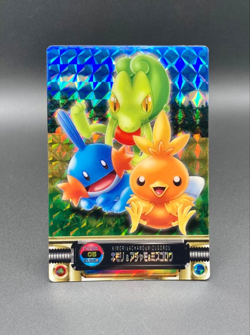 ポケモンずかんカード アドバンスジェネレーション キモリ&アチャモ&ミズゴロウ