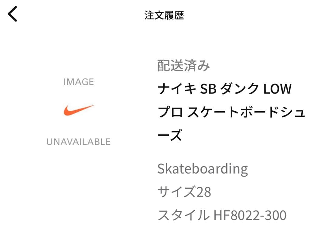 YutoHorigome×Nike SB Dunk Low 28cm おまけ付き