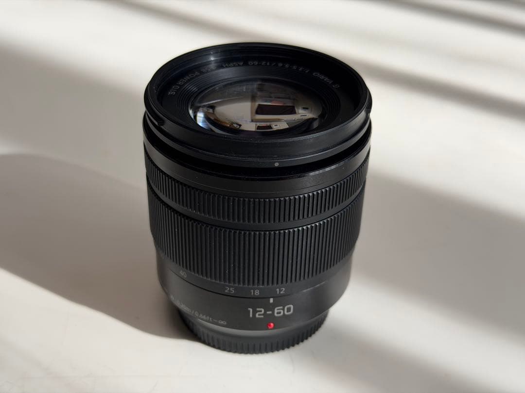 レンズ(ズーム) Panasonic G VARIO 12-60mm f/3.5-5.6 ASPH