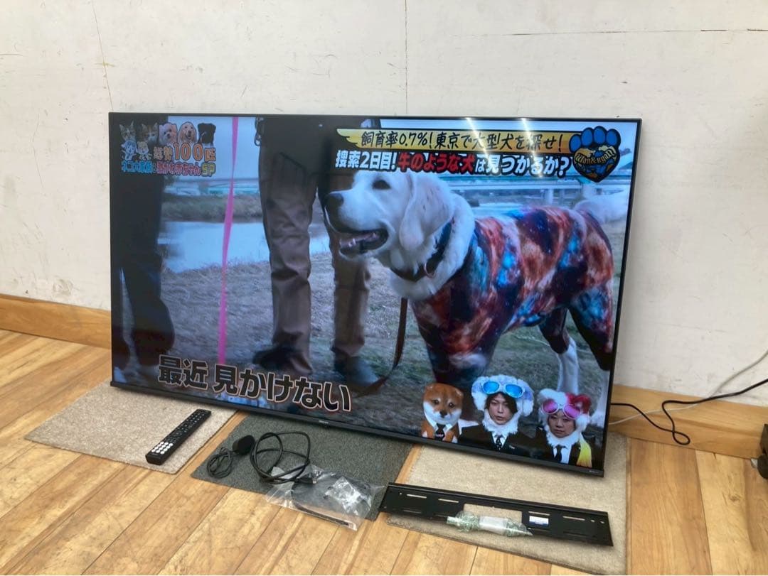【展示品】ハイセンス　65E6K 2024年製　4K液晶テレビ　直接引取り対応