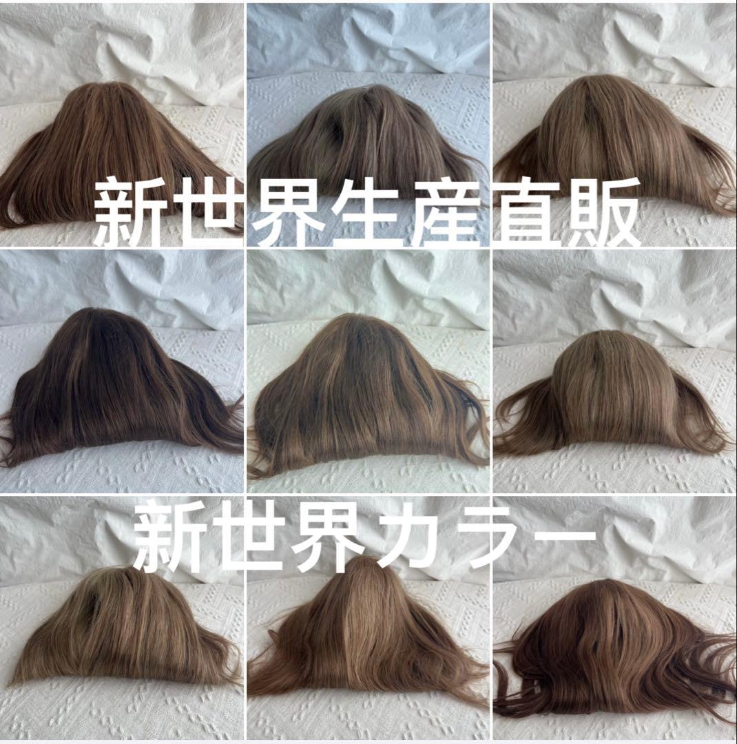 新世界プレミア真皮シリーズ★全人毛　ヘアピース　ウィッグ16*18総手植え45㌢