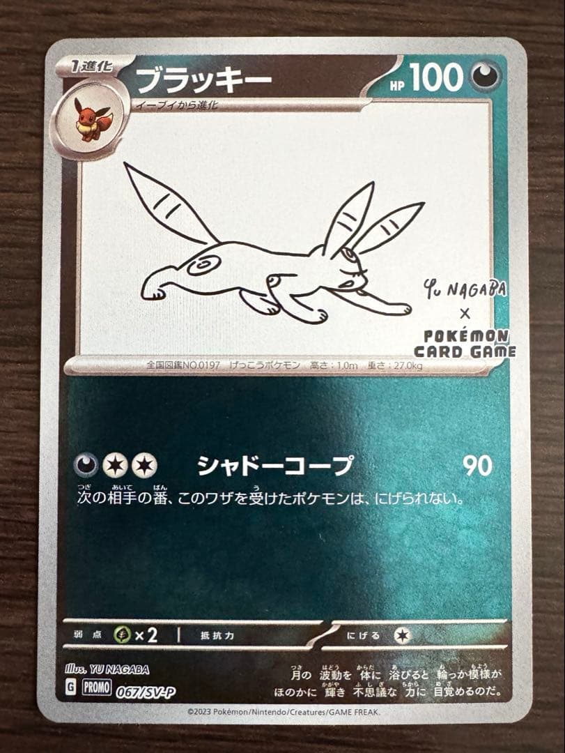 c*o様 ブラッキー　YU NAGABA