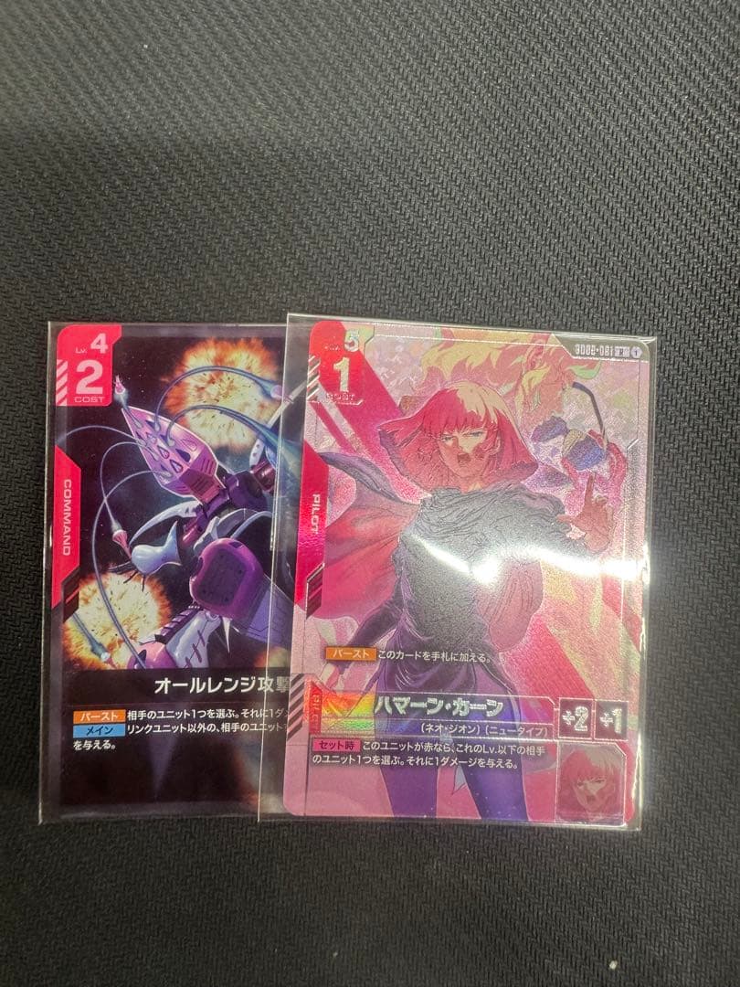 ハマーン・カーン オールレンジ攻撃　2枚セット ニュータイプチャレンジ
