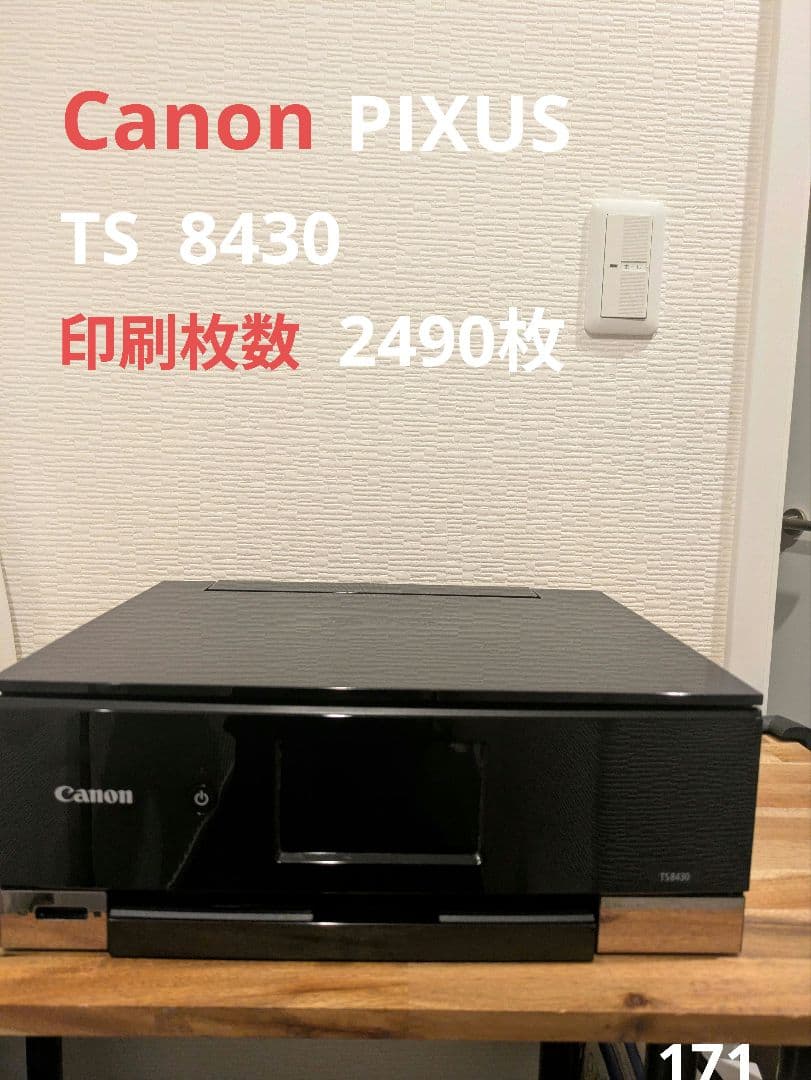 Canon PIXUS TS8430 印刷枚数 2490枚 No.171