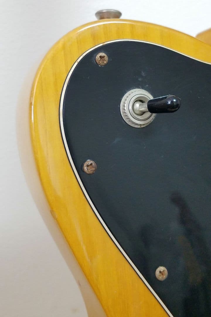 Brian by Bacchus テレキャスターカスタムタイプ エレキギター