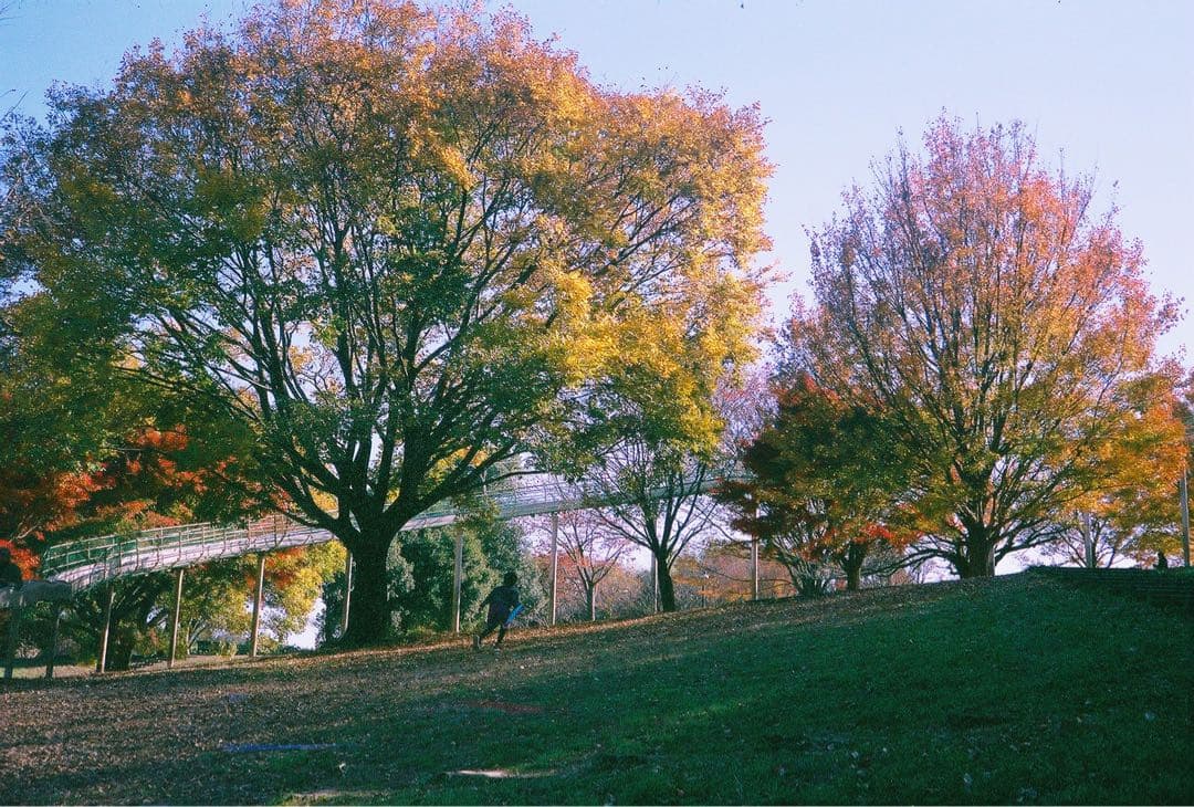 ★ローライ35SE 最上級機種　フィルムカメラ