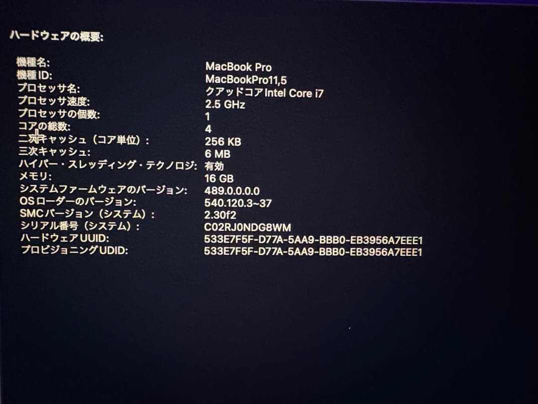 MacBook本体 MacBook Pro 15in Mid2015 Core i7 1TB SSD
