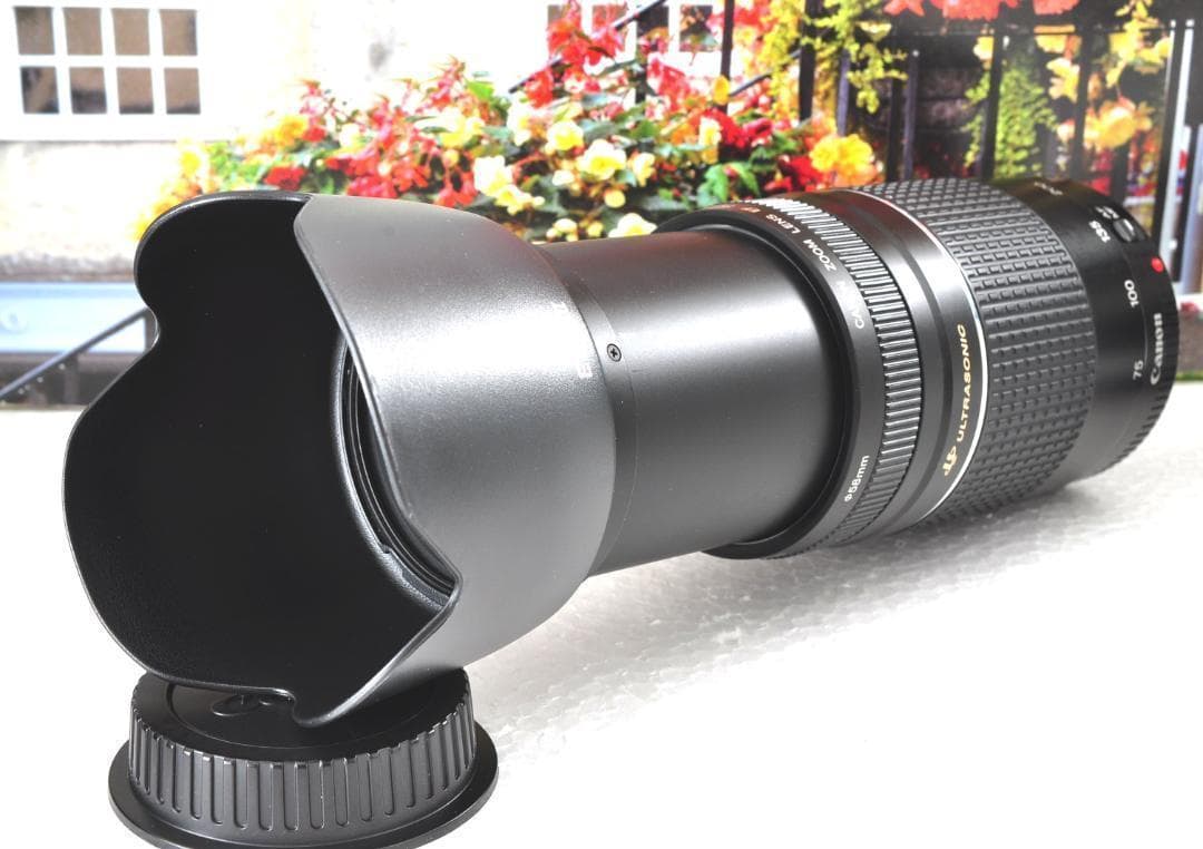 貴重な一瞬を望遠で！Canon キヤノン 望遠レンズEF75-300mm♦2