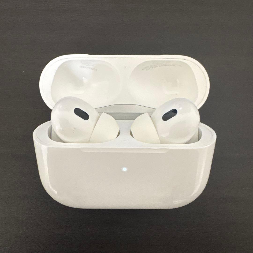 AirPods Pro（第2世代）Lightningケーブル 充電ケース付
