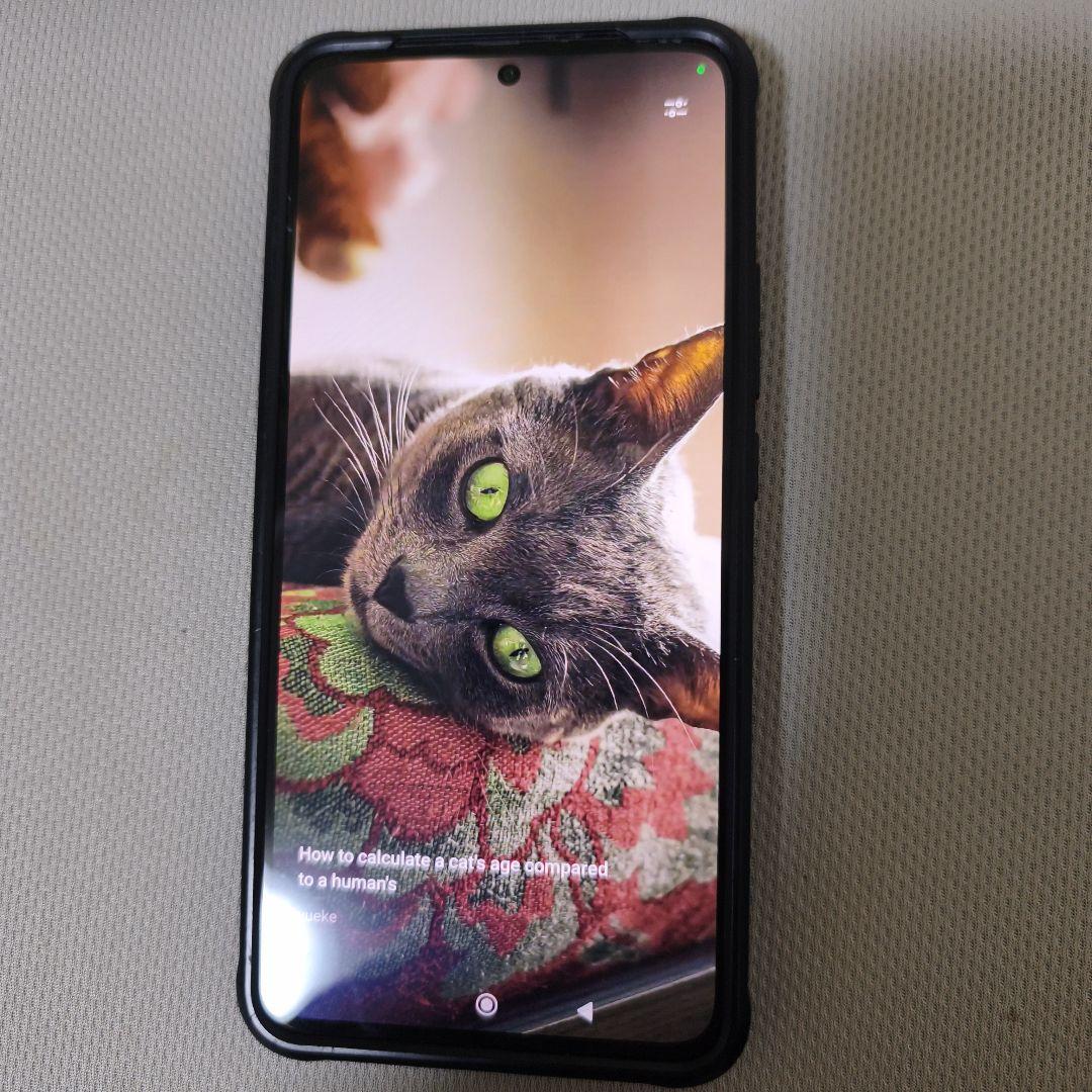 Xiaomi 13T Pro　国内版