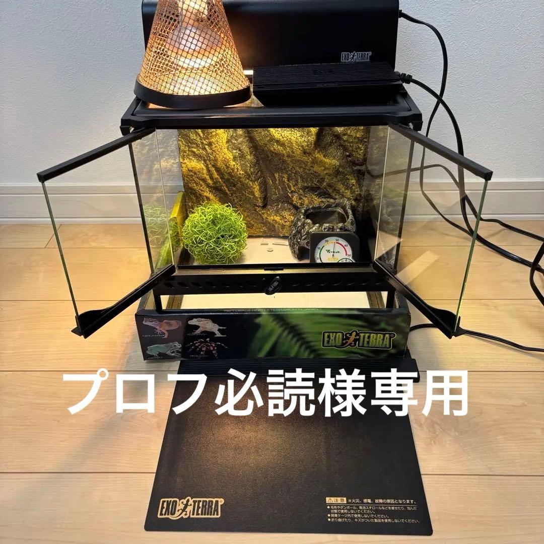 【プロフ必読】グラステラリウム3030とその他付随品のセット