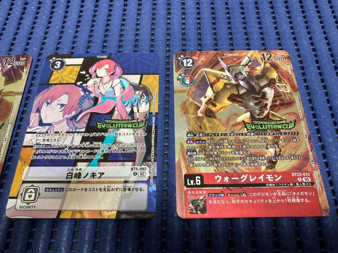 白峰ノキア エボカ