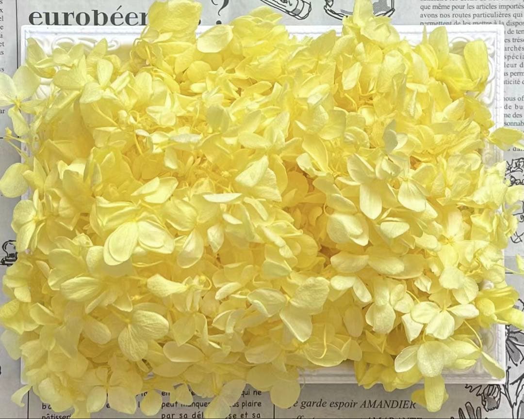 専用ページ　おまとめ割引-450