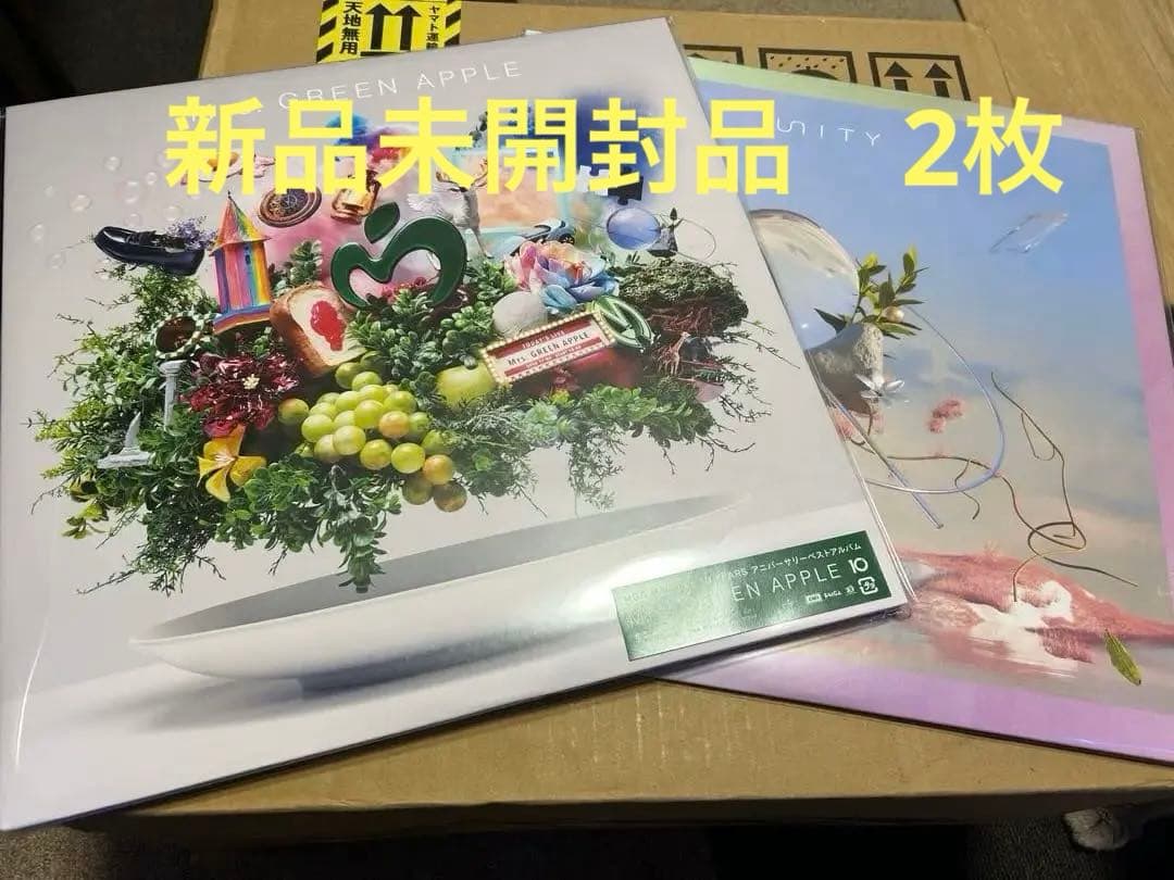 専用晴天　プロフ必須 様Unity / 10 アナログ盤　2枚