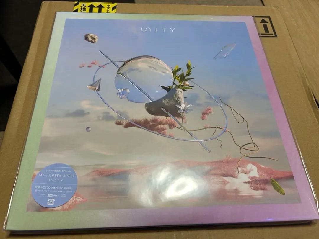 専用晴天　プロフ必須 様Unity / 10 アナログ盤　2枚