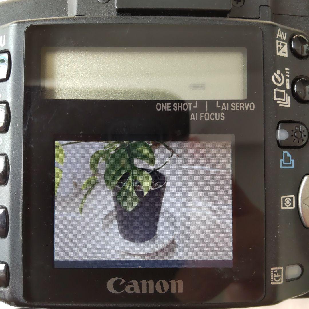 【一眼レフ レンズ2本付き】Canon EOS Kiss Digital N