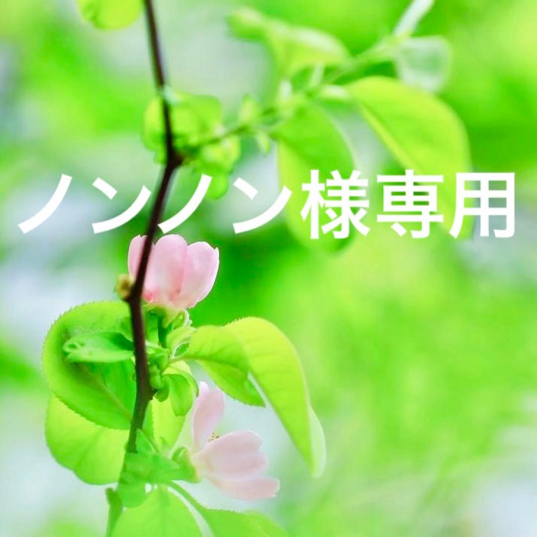 ノンノン　ダントン インナーダウン ジャケット　オイスターホワイトＳ