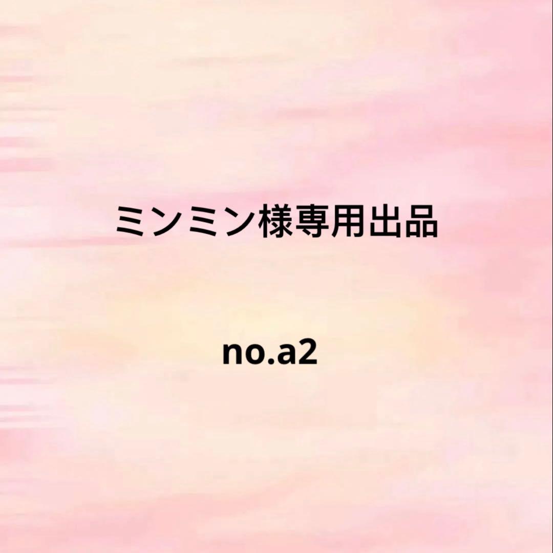 ミンミン出品no.a2