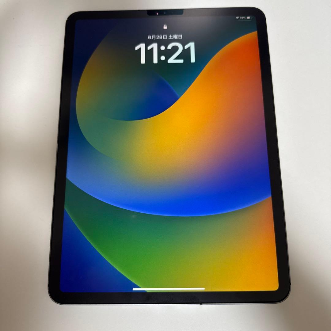 iPad Pro 11インチ 256GB wifi cellular simフリ