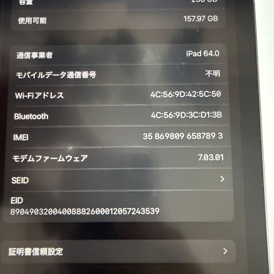 iPad Pro 11インチ 256GB wifi cellular simフリ