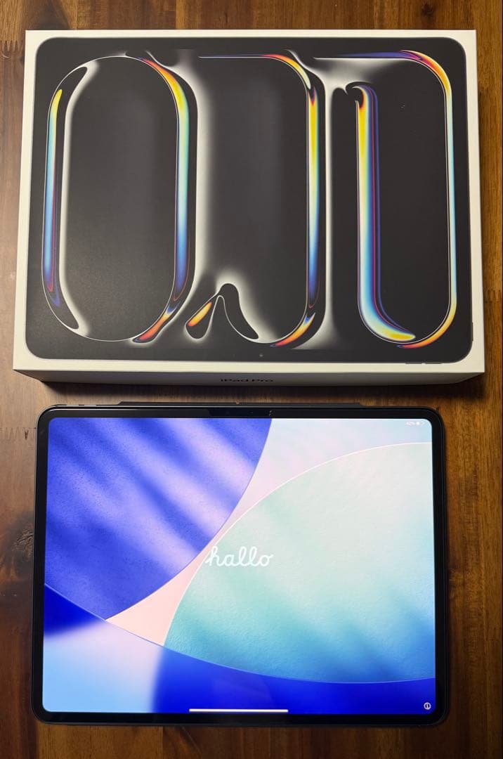 超美品●iPad Pro 13インチ M4モデル●256GB●スペースグレー●